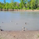 Volonne tour du lac