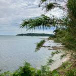 IMG-20250522-WA0012