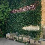 Château Musée TURCAN