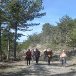 Aubignosc Les Amarines