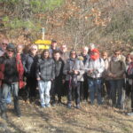 Montfort - la Louvière