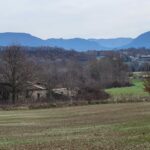 IMG-20260303-WA0011
