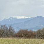 IMG-20260305-WA0007