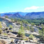 IMG-20260331-WA0026