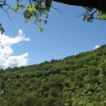 IMG-20260423-WA0008