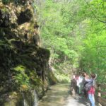 IMG-20260426-WA0001