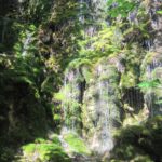 IMG-20260426-WA0005