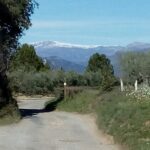 IMG_20260317_1452181