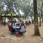 Repas à l'ombre