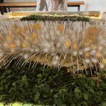 IMG-20260521-WA0137