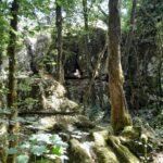 Balade dans le bois de Païolive
