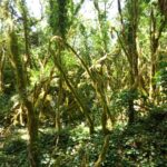IMG-20260521-WA0189